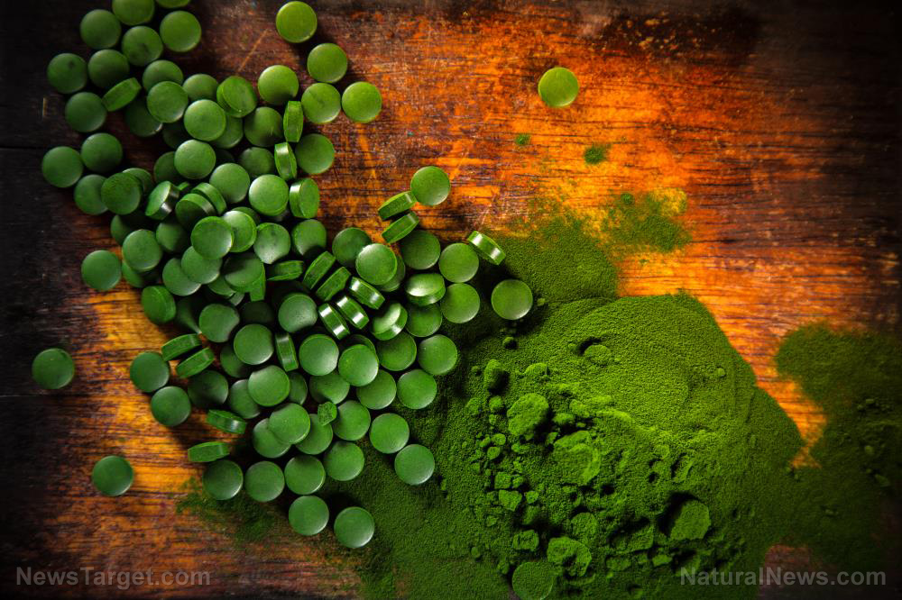 Chlorella and fibromyalgia: Study confirms relief for your symptoms