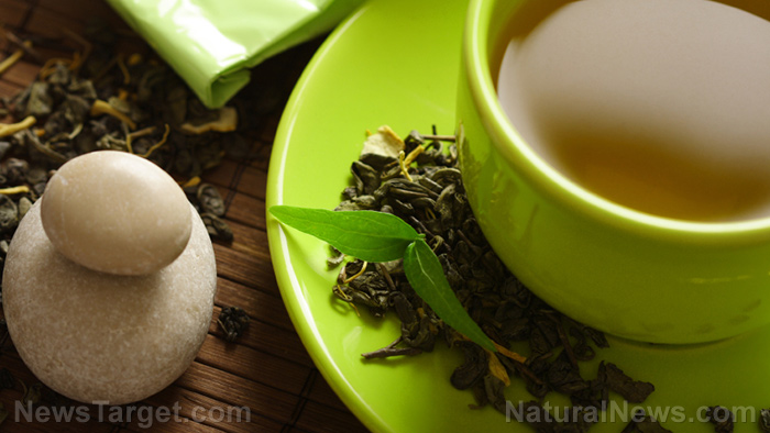 Leaky gut? Drinking green tea can help