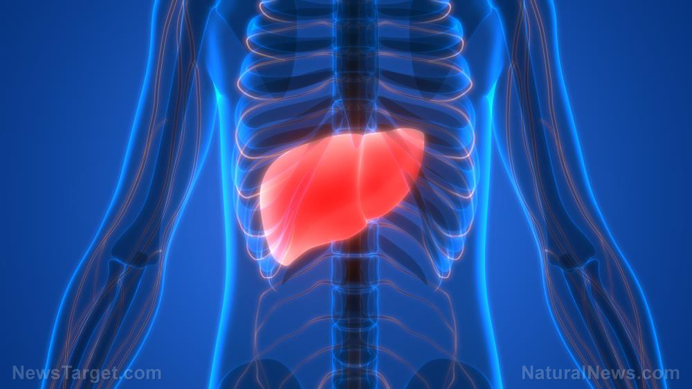 Supplementation with myo-inositol found to decrease triglyceride buildup in fructose-induced fatty liver