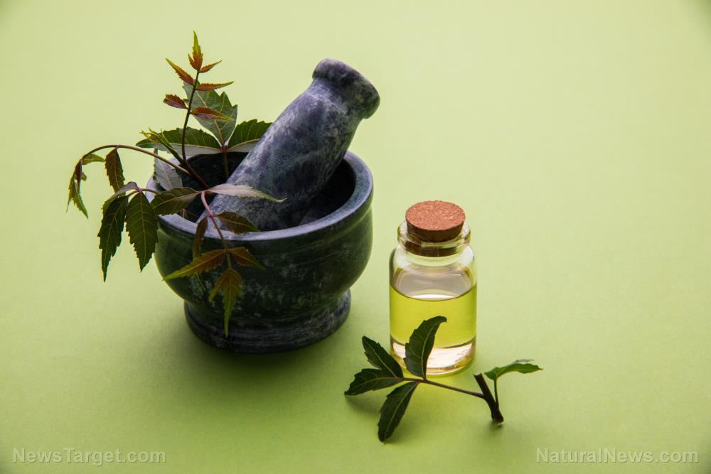 Use antioxidant-rich neem oil to address skin conditions like acne and eczema